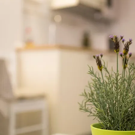 Casa Vecchia Apartment Rovinj